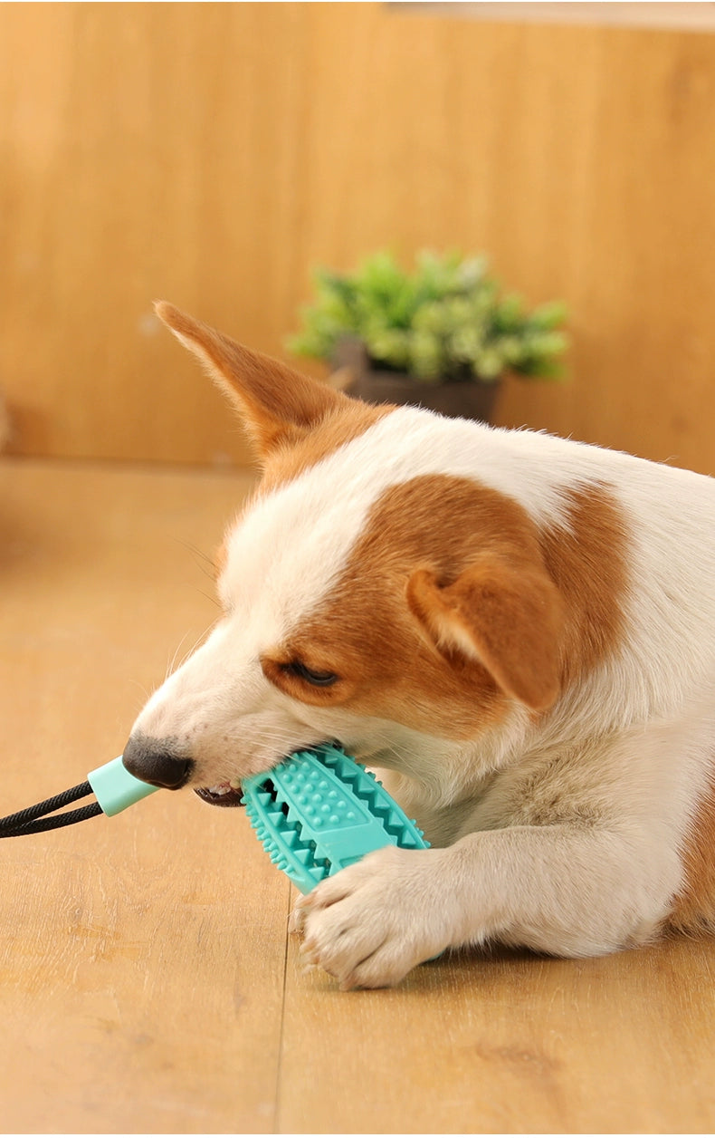 Bola de brinquedo para cachorro com ventosa para fixar no chão, resistente a mordidas, molar, labrador, suprimentos para cães, border collie, golden retriever, bola de borracha para animais de estimação em silicone flexível.