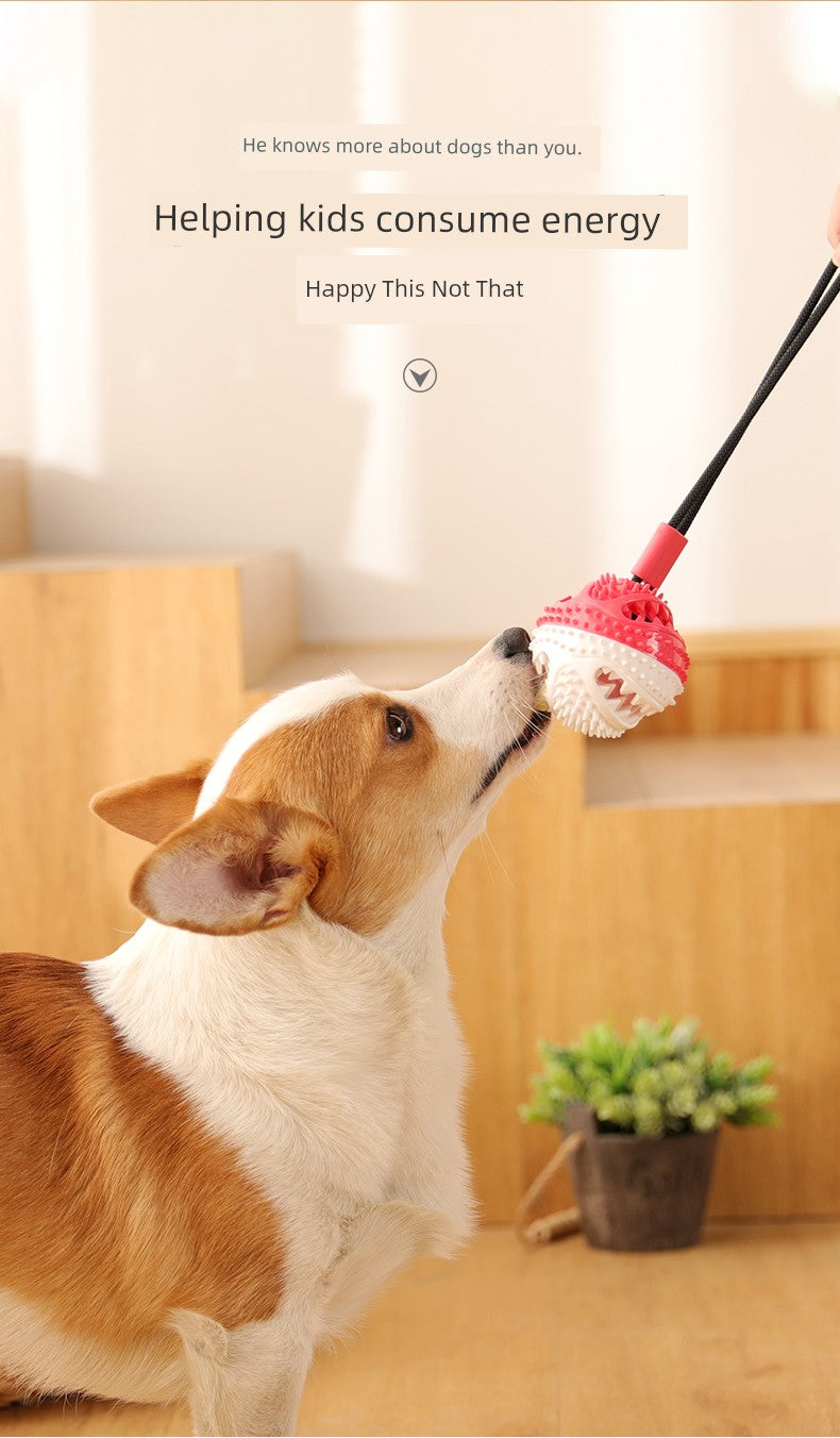 Bola de brinquedo para cachorro com ventosa para fixar no chão, resistente a mordidas, molar, labrador, suprimentos para cães, border collie, golden retriever, bola de borracha para animais de estimação em silicone flexível.