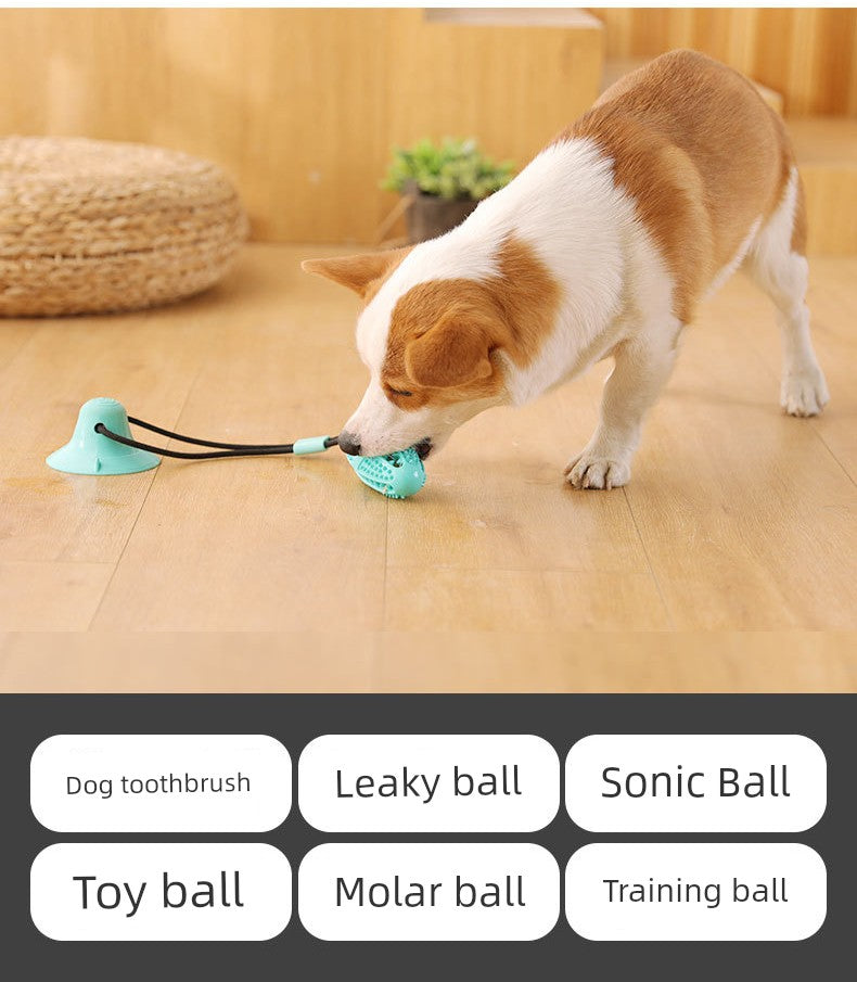 Bola de brinquedo para cachorro com ventosa para fixar no chão, resistente a mordidas, molar, labrador, suprimentos para cães, border collie, golden retriever, bola de borracha para animais de estimação em silicone flexível.