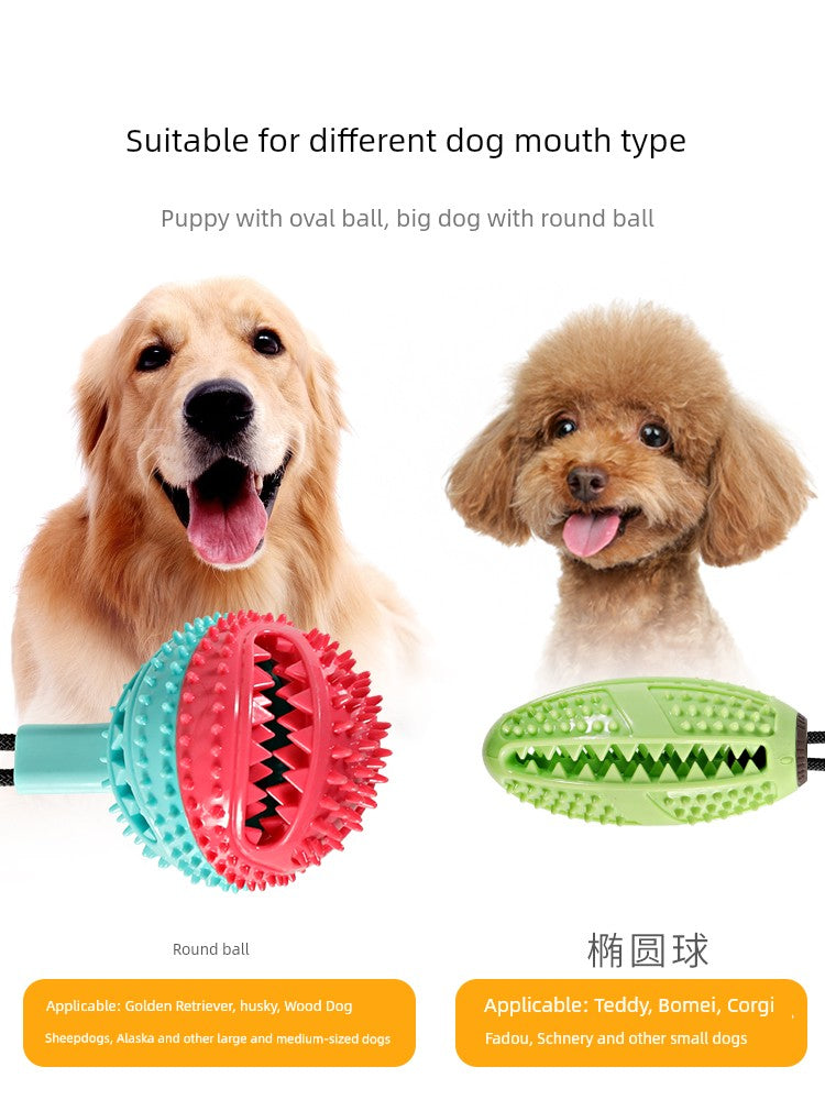 Bola de brinquedo para cachorro com ventosa para fixar no chão, resistente a mordidas, molar, labrador, suprimentos para cães, border collie, golden retriever, bola de borracha para animais de estimação em silicone flexível.