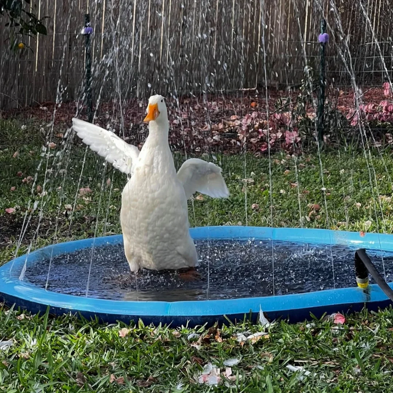 Inflável de água  Sprinkler Pad para seu cãozinho Pet, Brinquedo interativo ao ar livre para cães, Piscina de verão de 100 cm, 150 cm, 200cm